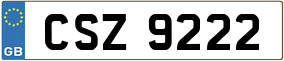 Truck License Plate